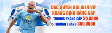 Banner 2